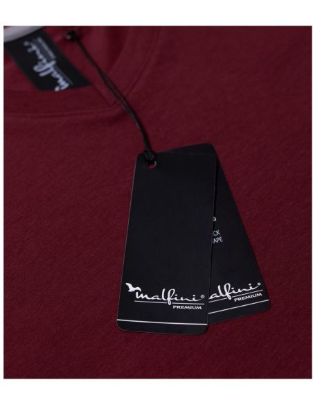 Tričko pánske Action V-neck 700 formula red