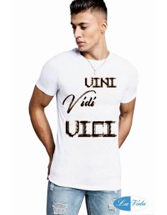 Vini vidi vici