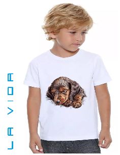 Jazvečík 3