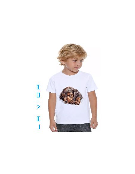 Jazvečík 3