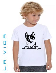 Akita