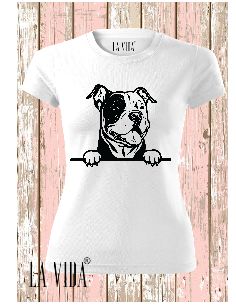 american bully