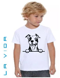 amstaff 1
