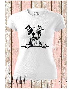 amstaff 1