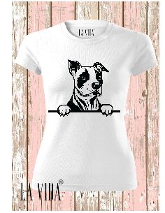 amstaff