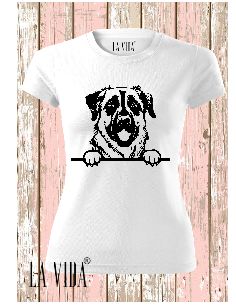 ANATOLIAN SHEPHERD DOG 1