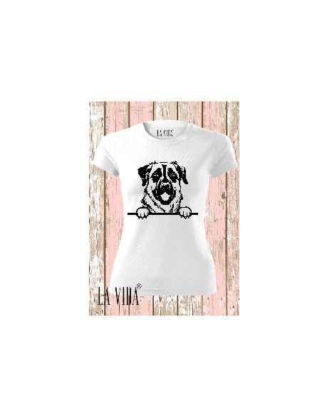 ANATOLIAN SHEPHERD DOG 1