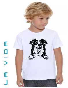 australian shepherd