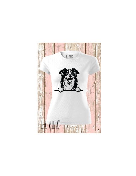 australian shepherd