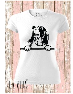 basset hound