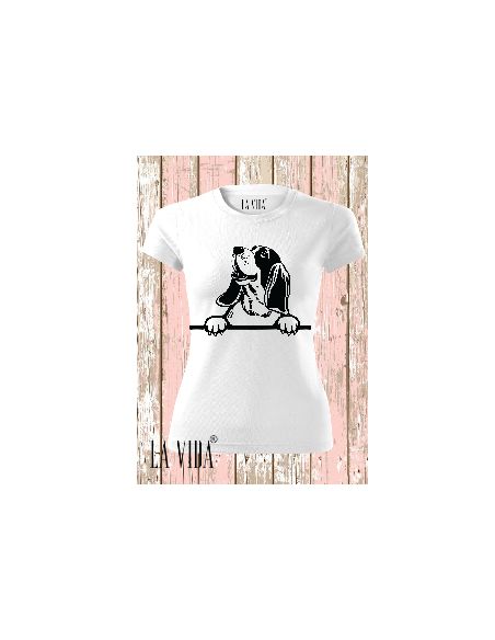 basset hound