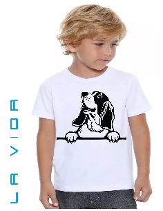 basset hound