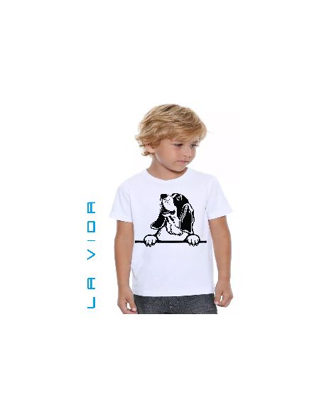 basset hound