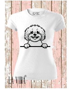 Bichon
