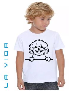 Bichon