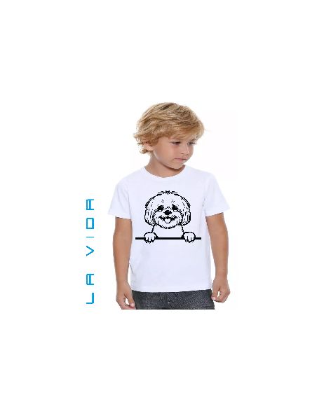 Bichon