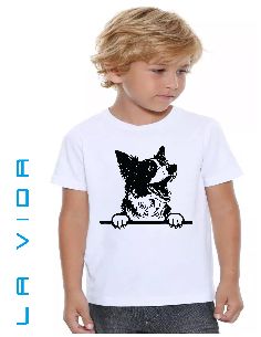 border collie 1