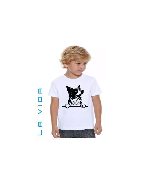 border collie 1