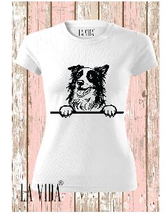 border collie