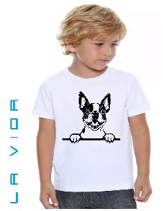 boston terrier