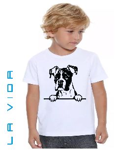 boxer 1