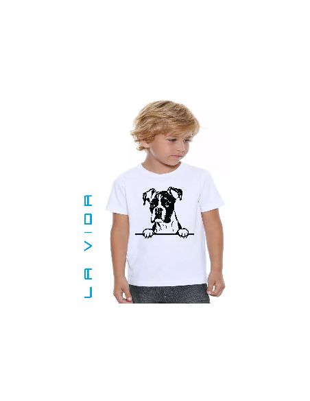boxer 1
