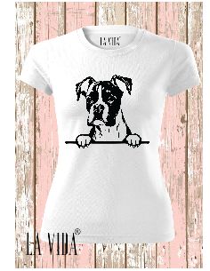 boxer 1