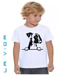 boxer