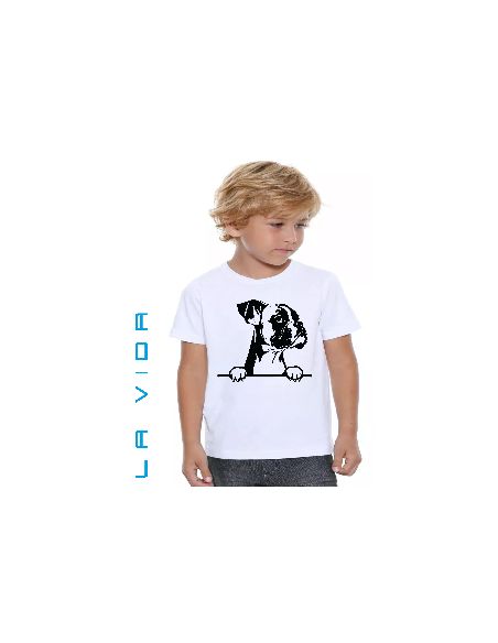 boxer