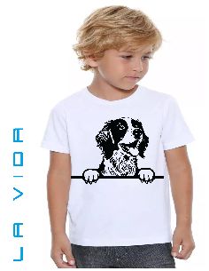 brittany spaniel