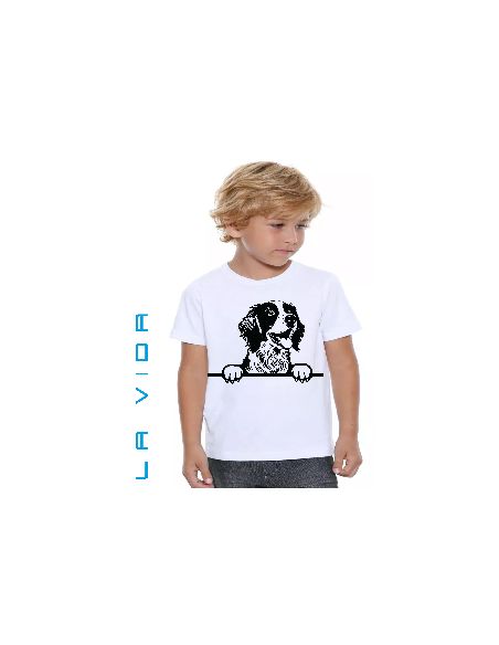 brittany spaniel