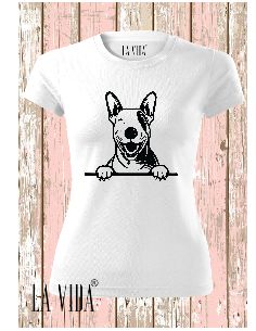 bull terrier