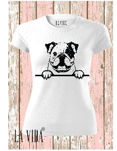 bulldog 1