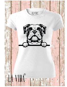 bulldog