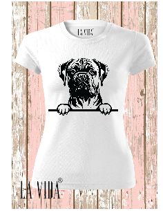 bullmastiff