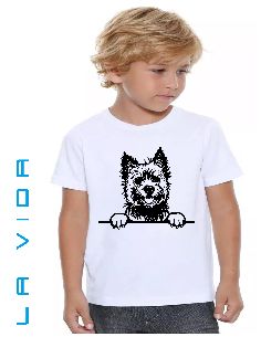 cairn terrier 1