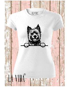cairn terrier 1