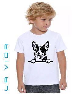 cardigan welsh corgi 1