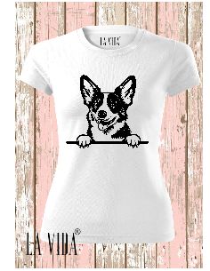 cardigan welsh corgi 1