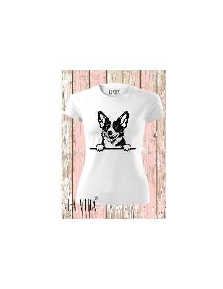 cardigan welsh corgi 1