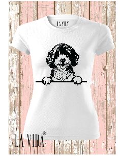 cavapoo