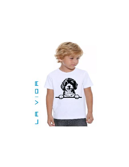 cavapoo