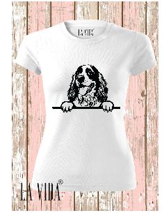 cocker spaniel