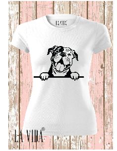 continental bulldog