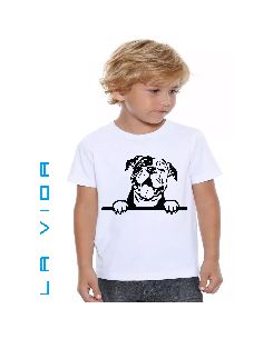 continental bulldog