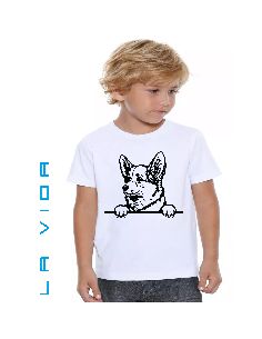 corgi 1