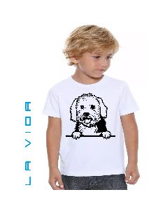 COTONS DE TULEAR 1