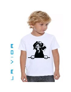 COTONS DE TULEAR 1 2