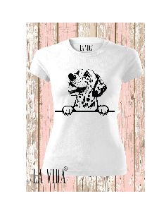 dalmatian