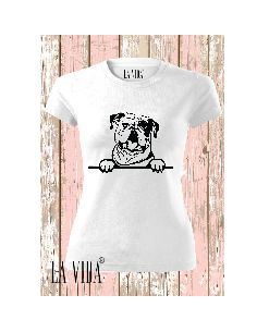english bulldog